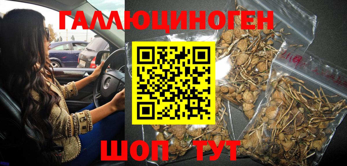 Галлюциногенные грибы Magic Shrooms Рязань